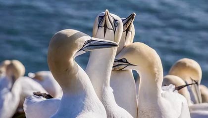 瑞丽市麻赢珠宝店(个体工商户)成立 注册资本10万人民币