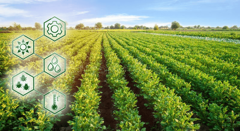 农产品交易平台FarmDEL即将上线，引领数字农业的变革