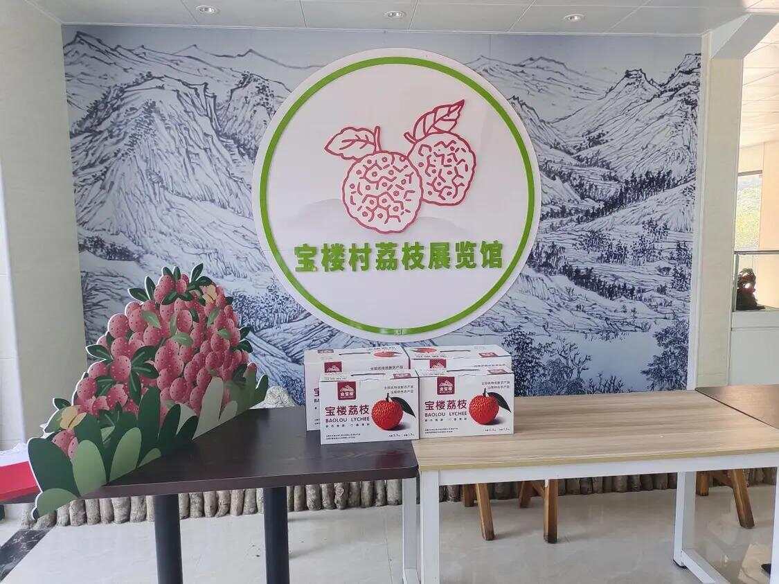 网络强村 | 红果枝头“网”事兴！网媒采风团走进汕尾荔园