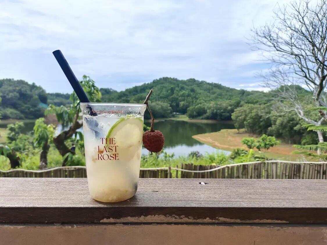 网络强村 | 红果枝头“网”事兴！网媒采风团走进汕尾荔园