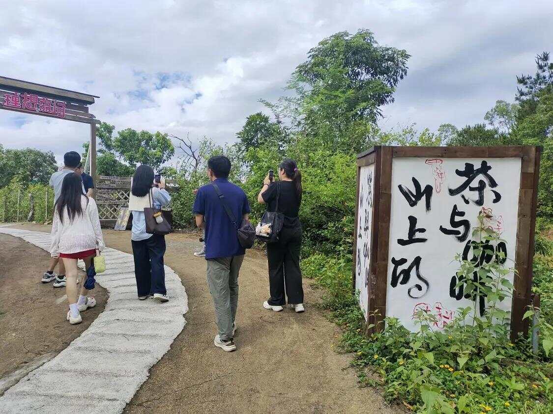 网络强村 | 红果枝头“网”事兴！网媒采风团走进汕尾荔园