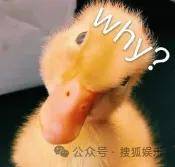 从爆红到突然消失好几年，再出现已经胖到大家不敢认了？