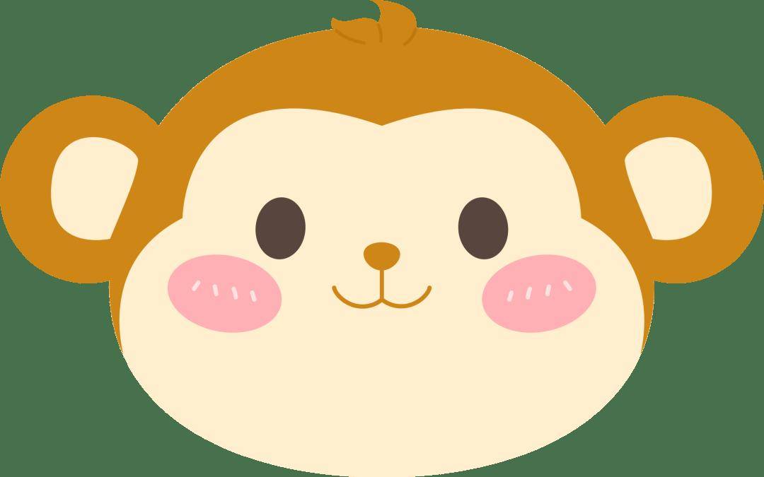 热带雨林币,今起开始兑换!