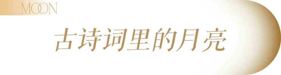 AI技术发展越快，孩子越需要一点月亮的浪漫