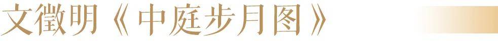 AI技术发展越快，孩子越需要一点月亮的浪漫