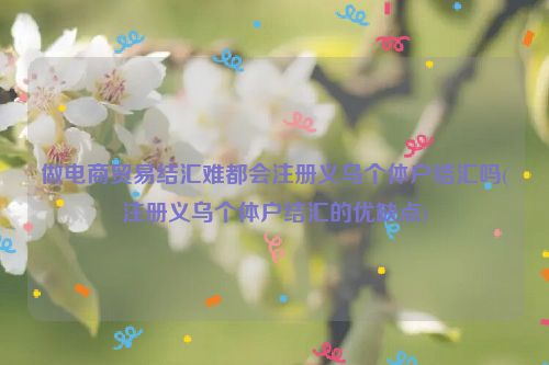 跨境电商外汇(跨境电商外汇结算)