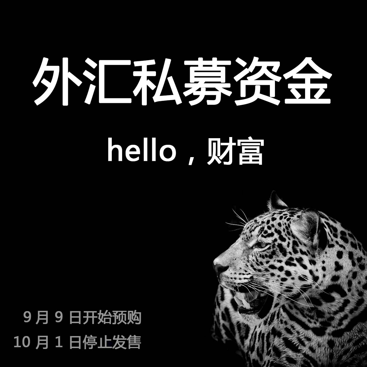 外汇交易秘籍(外汇交易教程视频)