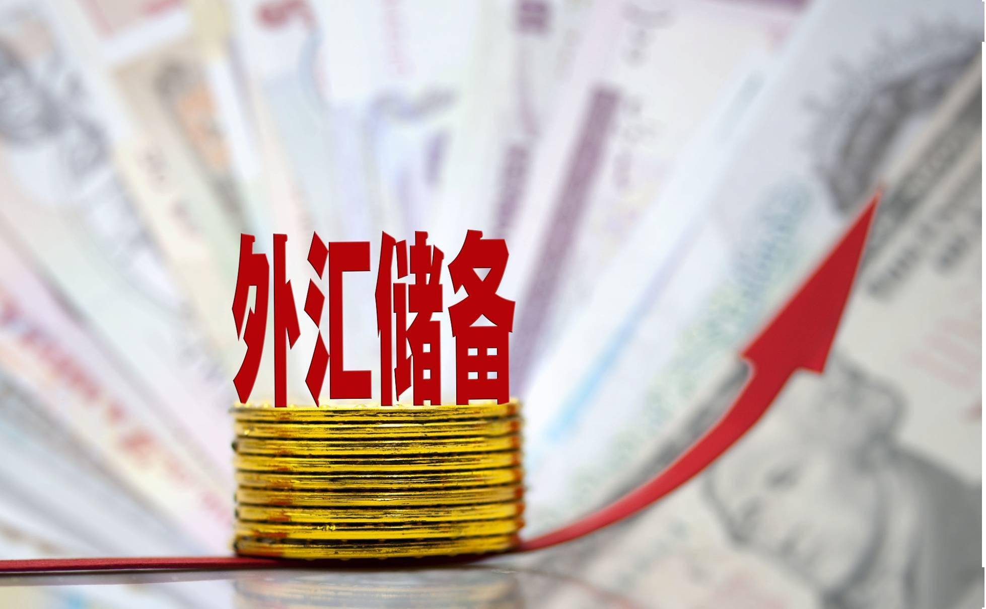 外汇储备什么意思(外汇储备有什么作用)