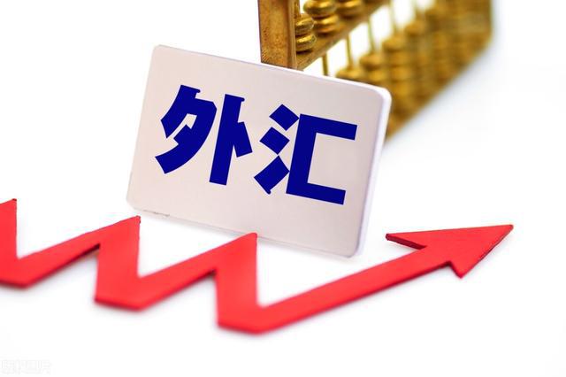个人外汇划转(个人外汇账户资金划转)