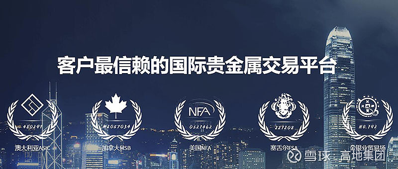黄金外汇投资平台(黄金外汇app下载)