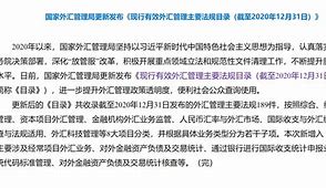 外汇主要看什么(外汇是什么样子的)