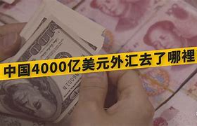 美元外汇开户(开美元户去外汇局备案)