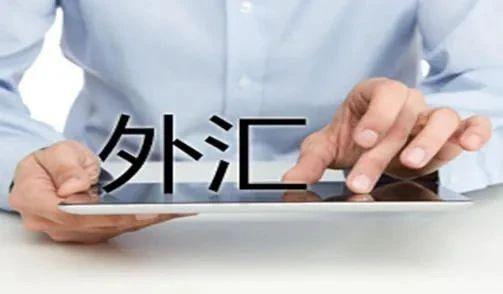 外汇不包括(外汇概念不包括)