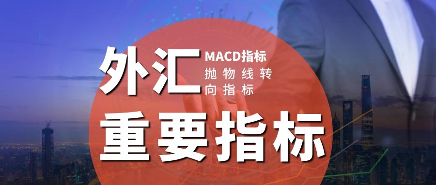 外汇理财培训(外汇理财平台哪个好)