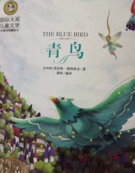 青鸟外汇(北大青鸟外汇)