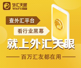 老虎外汇官网(老虎外汇平台官网)