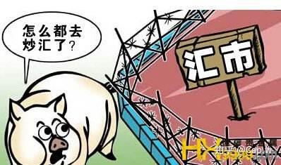炒外汇收益(炒外汇收益率能到60%吗)