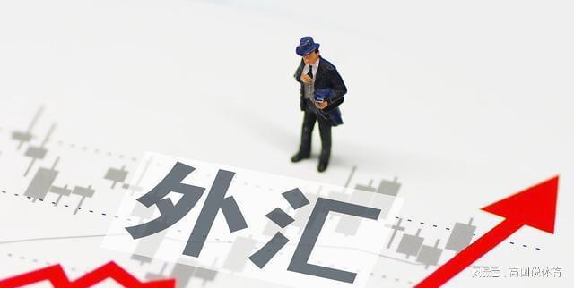 外汇具体包括(外汇具体包括哪些方面)