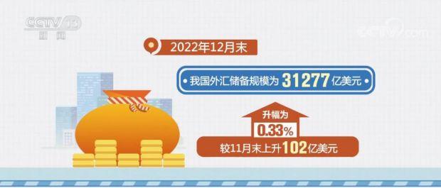外汇储备什么意思(外汇储备是什么意思?)