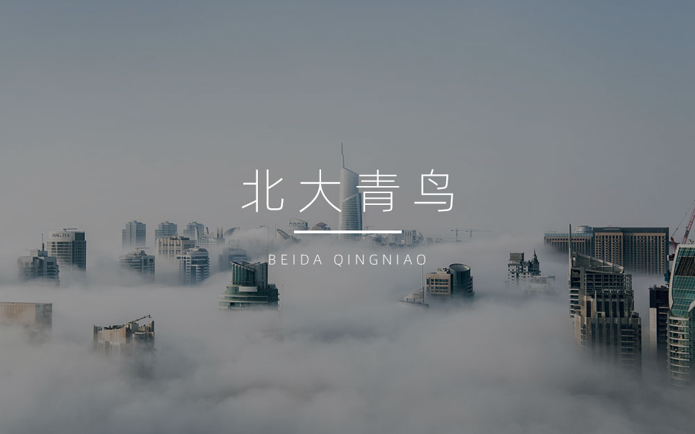 青鸟外汇(青鸟软件股份有限公司)