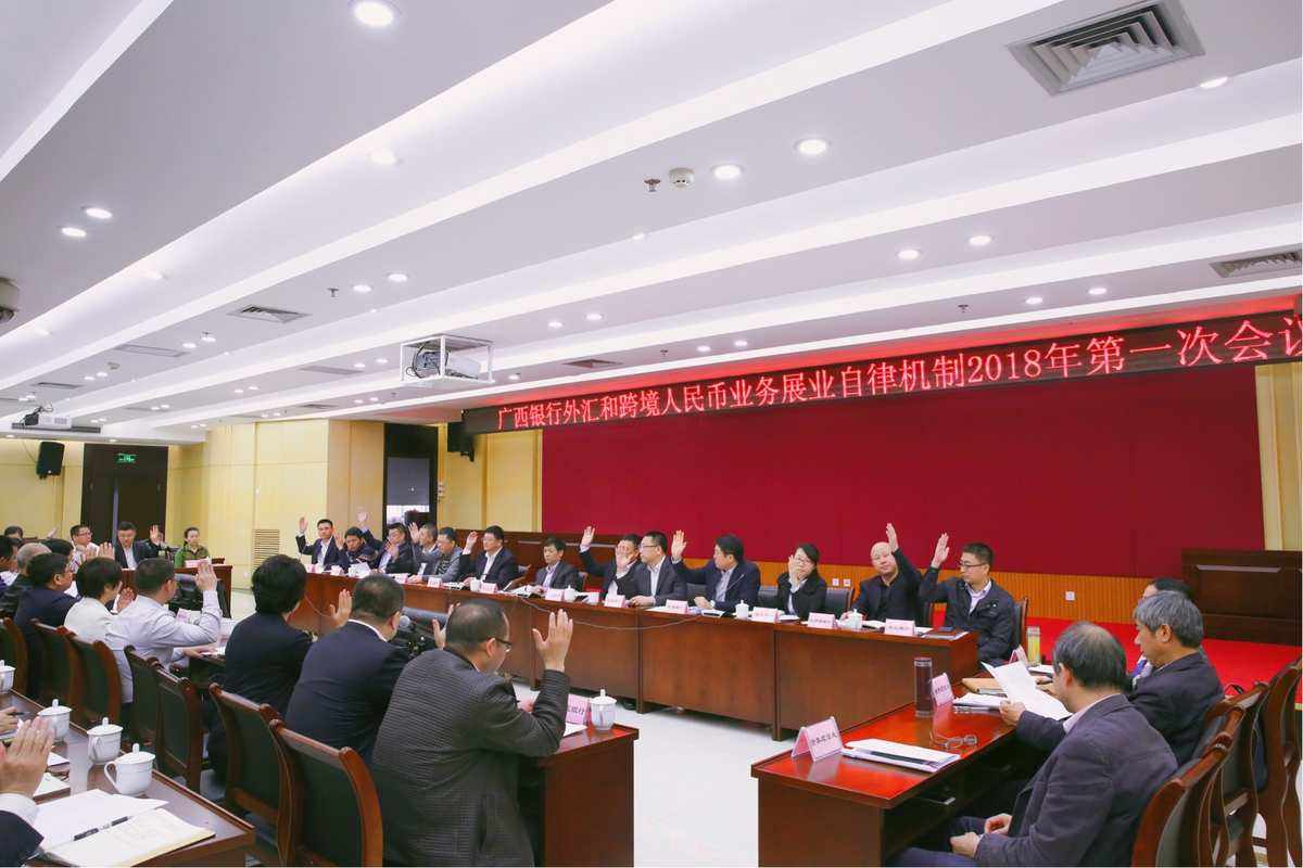 外汇会议(外汇局会议)