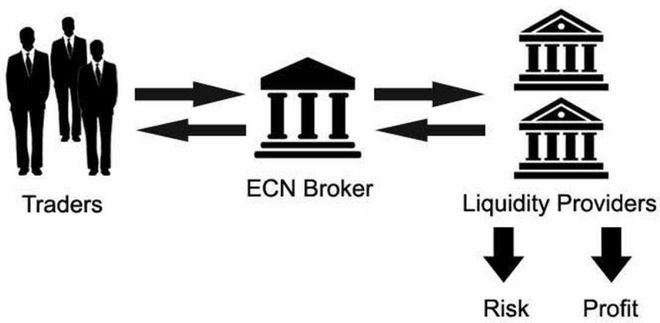 外汇stp和ecn(外汇stp和ecn的区别)