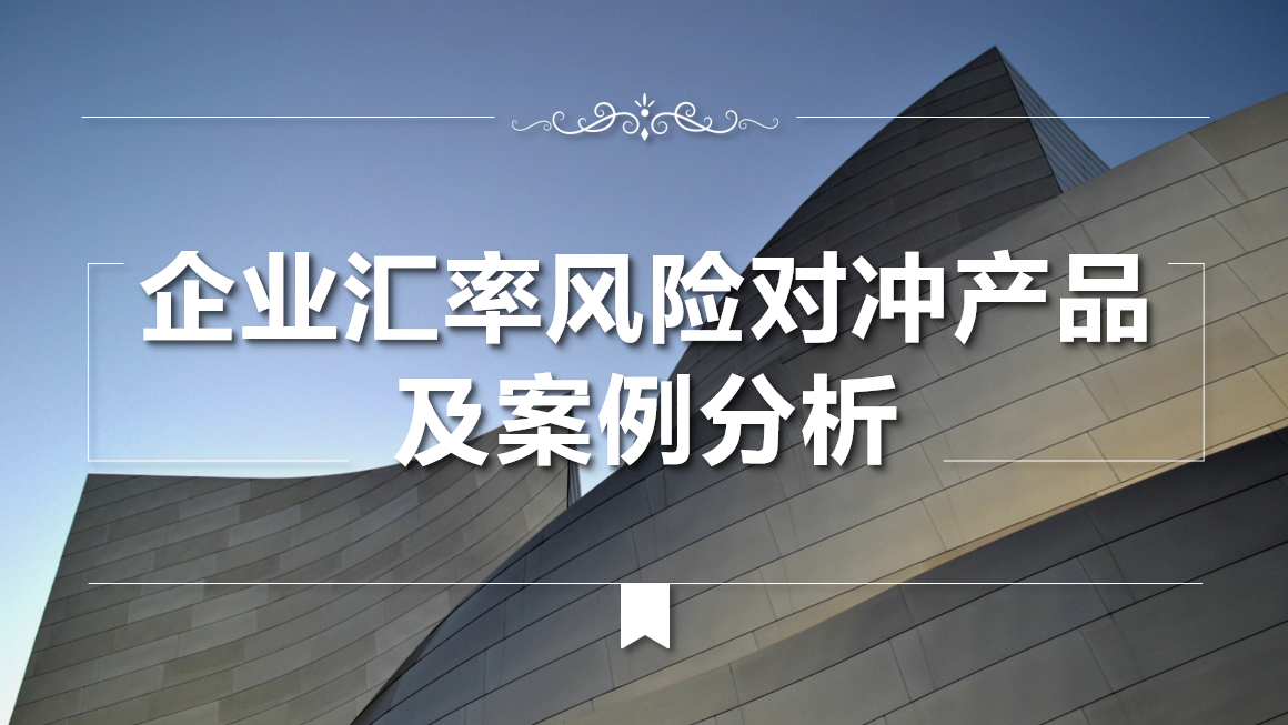 外汇风险分析(外汇风险管理分析)