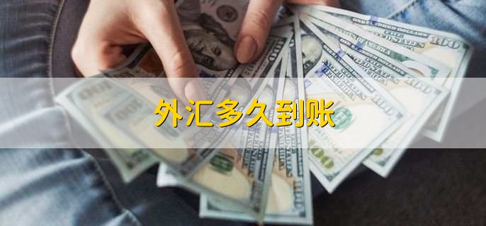 外汇没到账(境外汇款退回去半个月了还没到账)