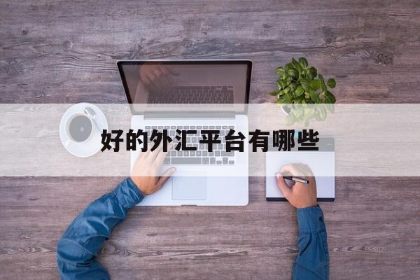 好的外汇平台有哪些(有哪些比较好的外汇平台推荐)