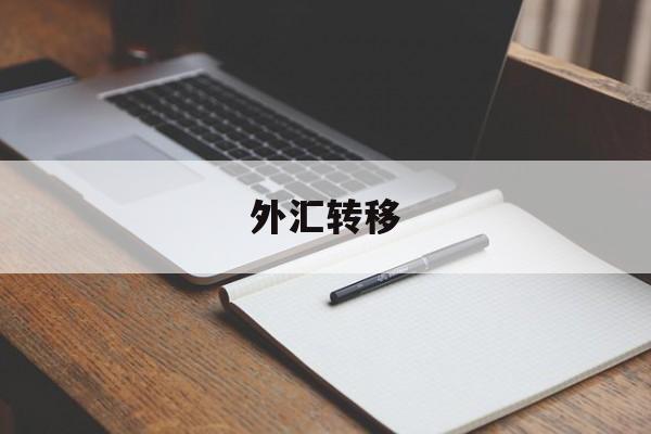 外汇转移(外汇转移国内资产)